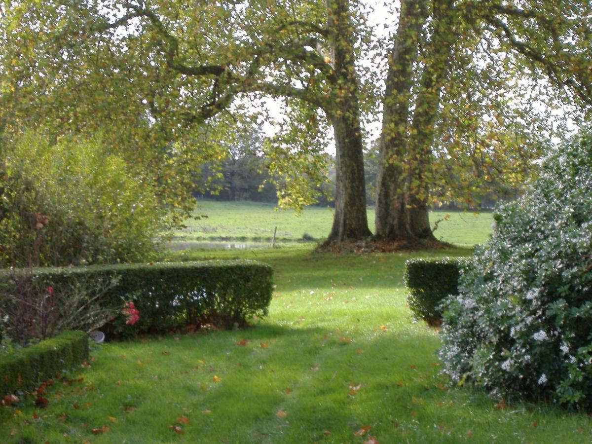 Chateau Du Fraisse Nouic Exterior foto